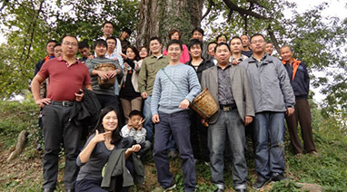 采“橘（jú）”東籬下，悠然見南山