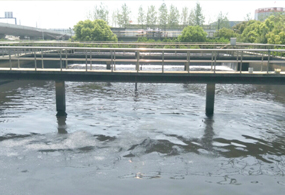 滁州市（shì）某化（huà）工園區汙水（shuǐ）處理廠項...